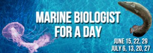 Biologist-for-a-Day-Website-Banner1-1