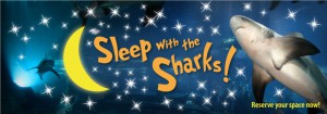 Sleep-With-the-Sharks-Middlebox2